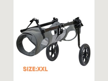 Image 1 of 11