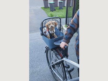 Image 1 of 5