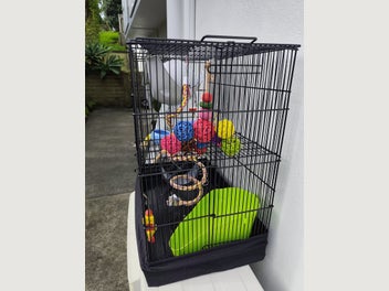 Image 1 of 3