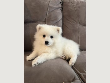 Image 1 of 10