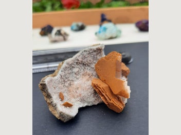Image 1 of 7
