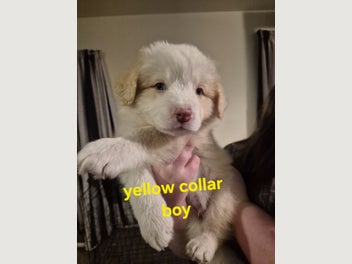 Image 1 of 16