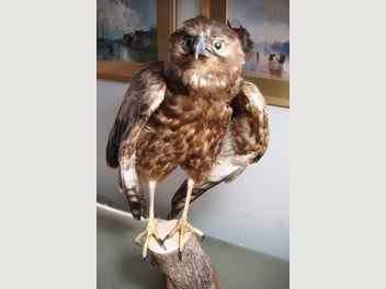 Image 1 of 11