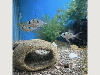 Image 1 of 6