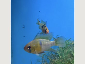 Image 1 of 6