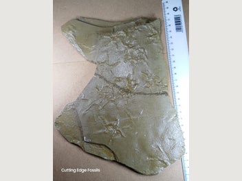 Image 1 of 13