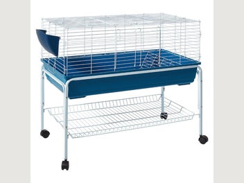 Image 1 of 7