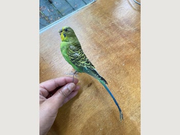 Image 1 of 20