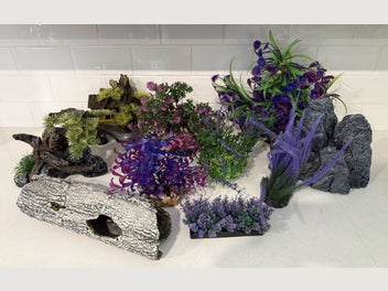 Image 1 of 11
