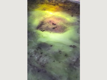 Image 1 of 9