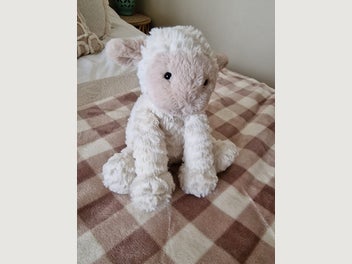 Image 1 of 4