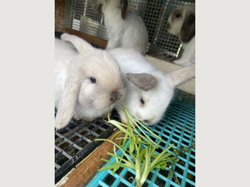 Image 1 of 15