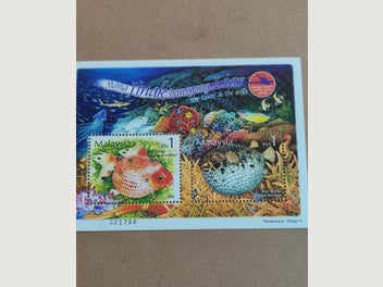 Image 1 of 1