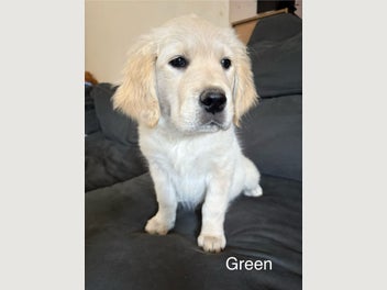 Image 1 of 20