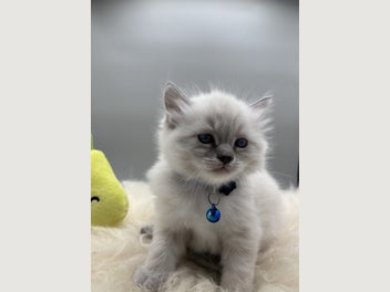 Image 1 of 3