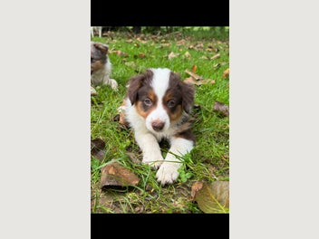 Image 1 of 15