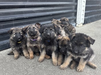 Image 1 of 20