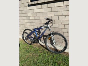 Image 1 of 11