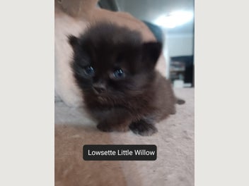 Image 1 of 10