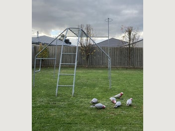 Image 1 of 5
