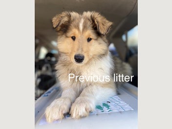 Image 1 of 20