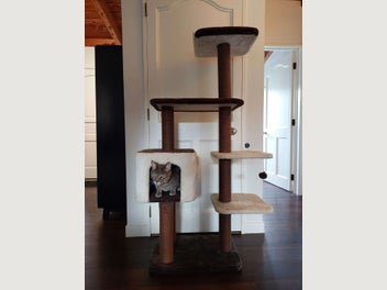 Image 1 of 4