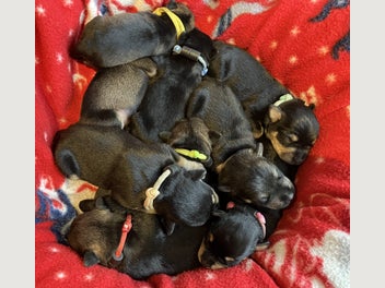 Image 1 of 20