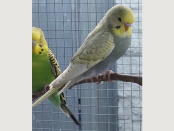 Image 1 of 20
