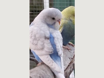 Image 1 of 20