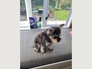 Image 1 of 10