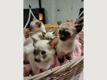 Image 1 of 11