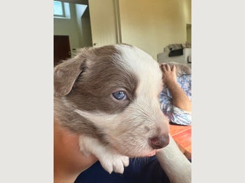 Image 1 of 19