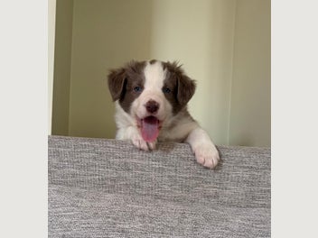Image 1 of 20