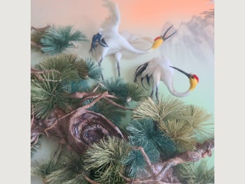 Image 1 of 10