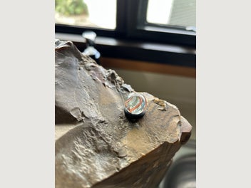 Image 1 of 8