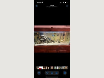 Image 1 of 7