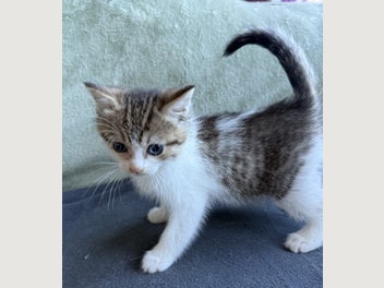Image 1 of 19