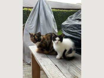 Image 1 of 6