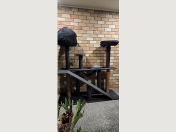 Image 1 of 9