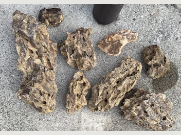 Image 1 of 7