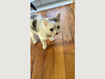 Image 1 of 8