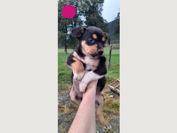 Image 1 of 20