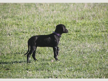 Image 1 of 20