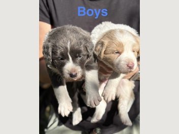Image 1 of 10