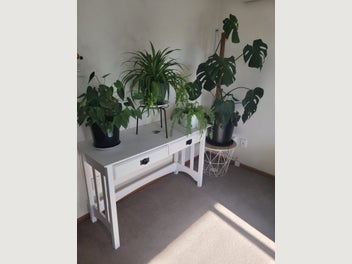 Image 1 of 20