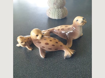 Image 1 of 6