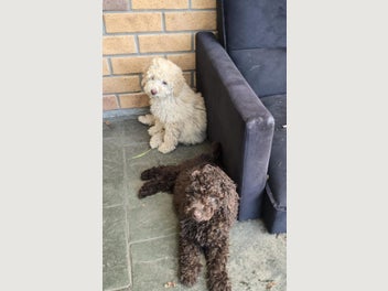 Image 1 of 18