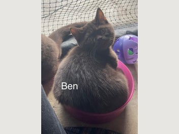 Image 1 of 8