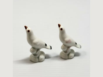 Image 1 of 8