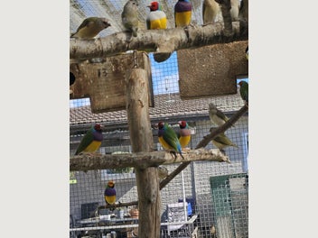 Image 1 of 5